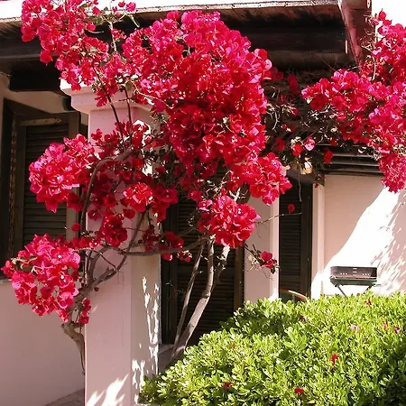 Casa Mare Da Lia Couette-café